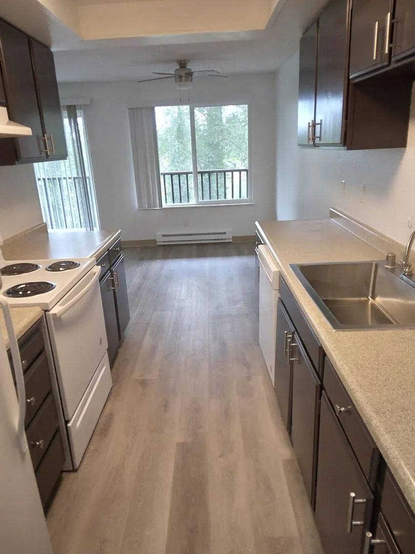 Forest View Apartments — Photo 3