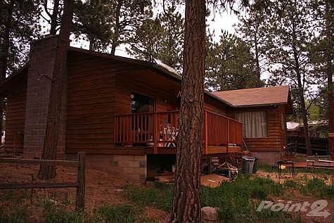 IMG_1984 (Large)