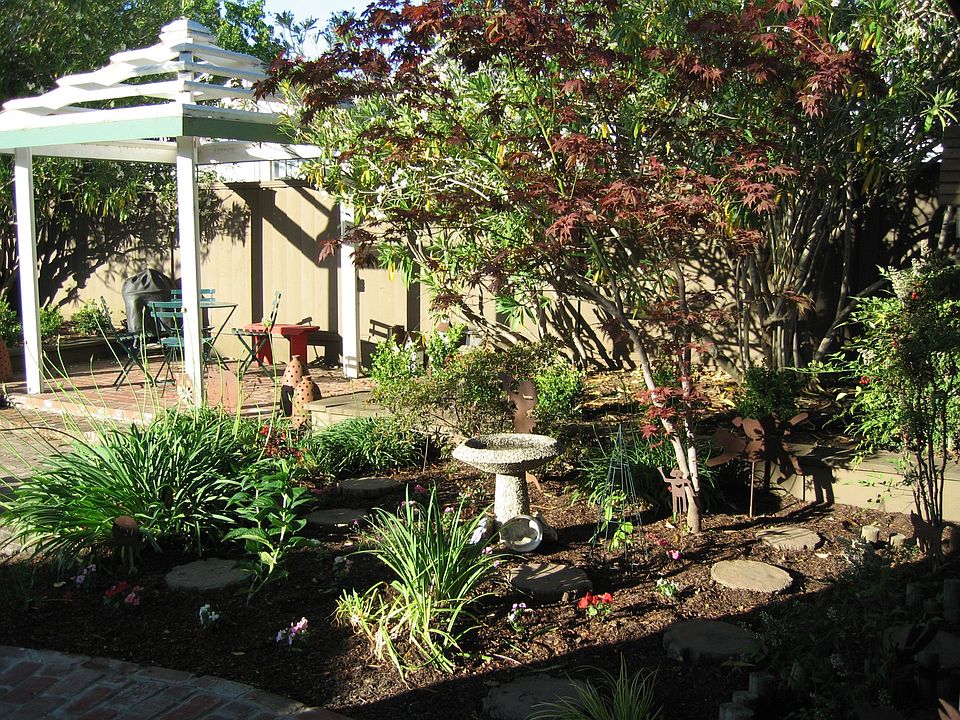 Backyard garden & gazebo