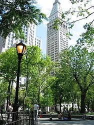 Rented by Citi Habitats