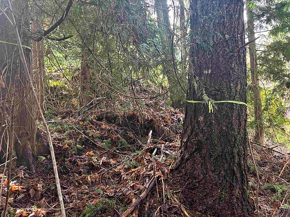 4th image of LOT 39 Sandy Hook Rd