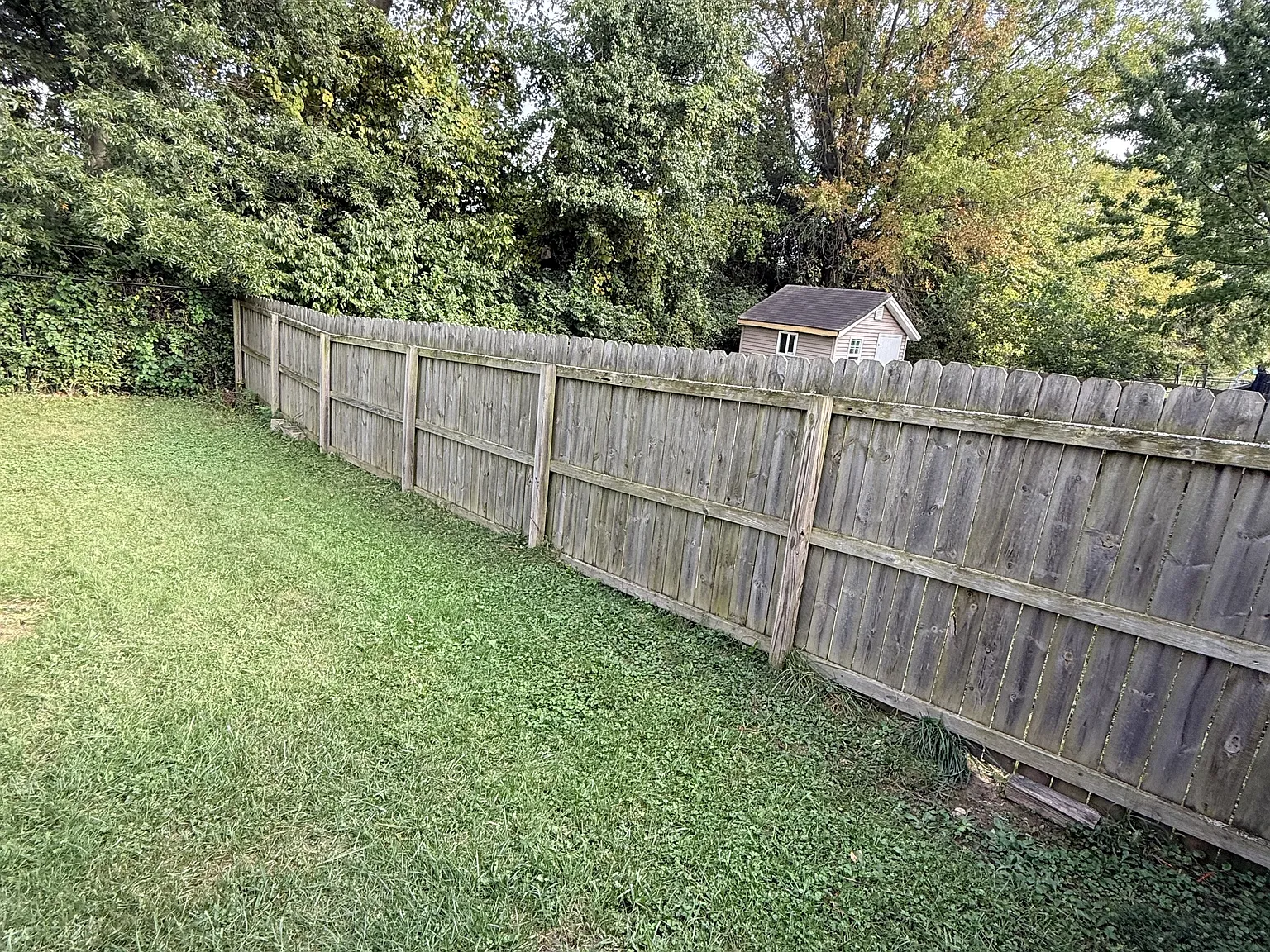3245 Capsella Lane - 1 — Photo 4