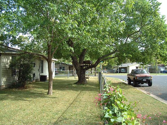 Tree on Side of House