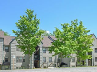 28 Fowler Rd #N203, Ludlow, VT 05149