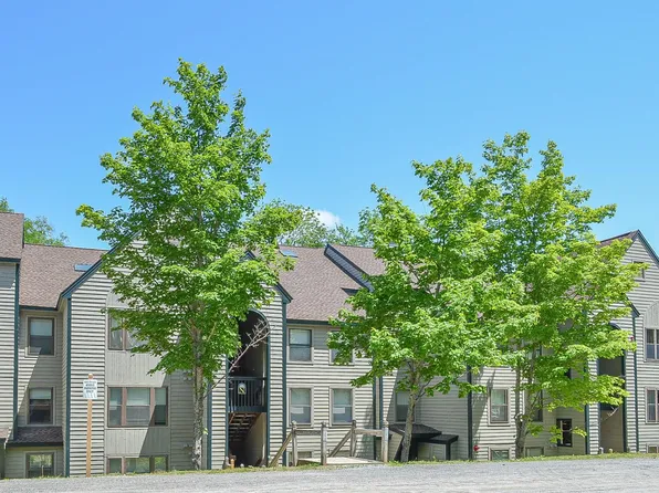 28 Fowler Road #N203, Ludlow, VT 05149