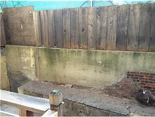 Rented by Douglas Elliman | media 13