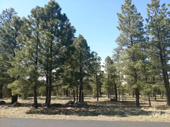 4873 Starlight Dr, Happy Jack, AZ 86024