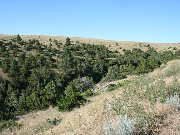 4th image of Lots 45  46 Palomino Trail