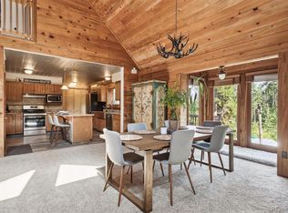 458 Hummer Dr, Nederland, CO 80466
