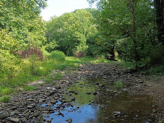 3rd image of 16.29 Ac Spring Creek Rd