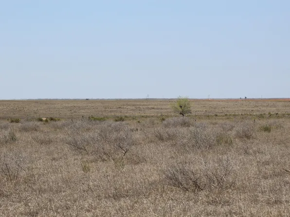 Farm To Market Hwy #1169, Morton, TX 79346