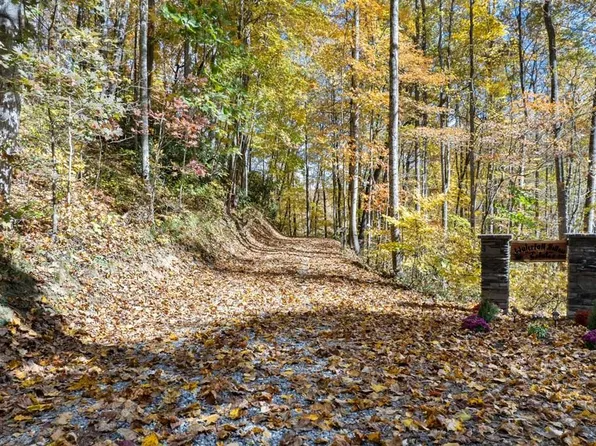 0 Waterfall Hollow Rd, Whittier, NC 28789