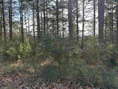 Lots 23 & 24 Grasse St, Calico Rock, AR, 72519