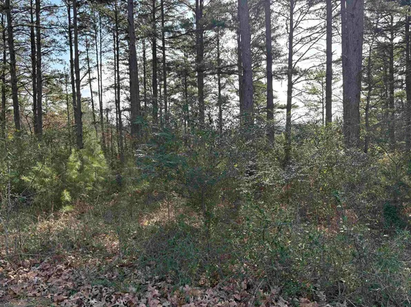 Lots 23 & 24 Grasse St, Calico Rock, AR 72519