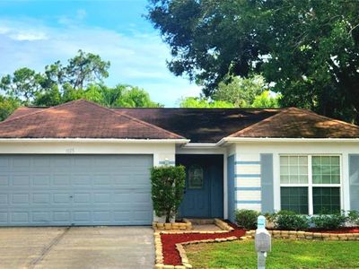 1125 Bloom Hill Ave, Valrico, FL, 33596