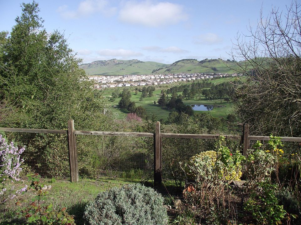 VIEW FROM KITCHEN