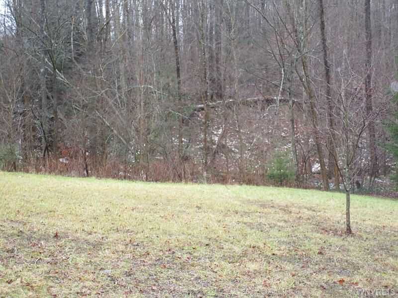 2nd image of 11622 Springville Boston Rd