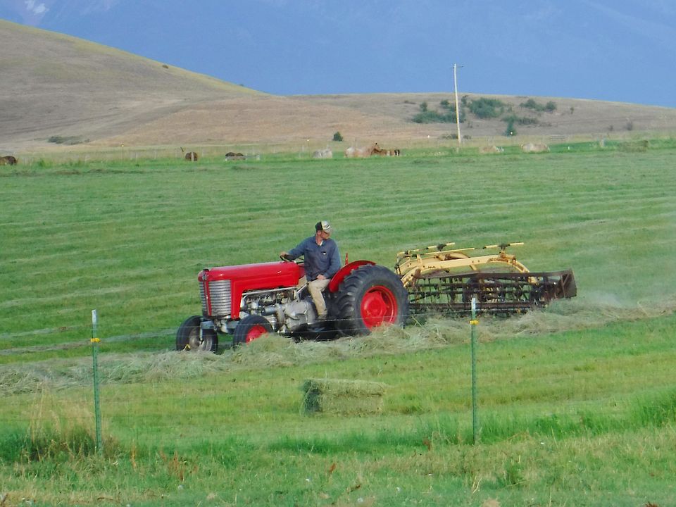 2015 raking the hay field