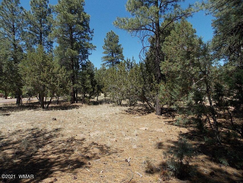 2nd image of 2859 Pine Rim Rd