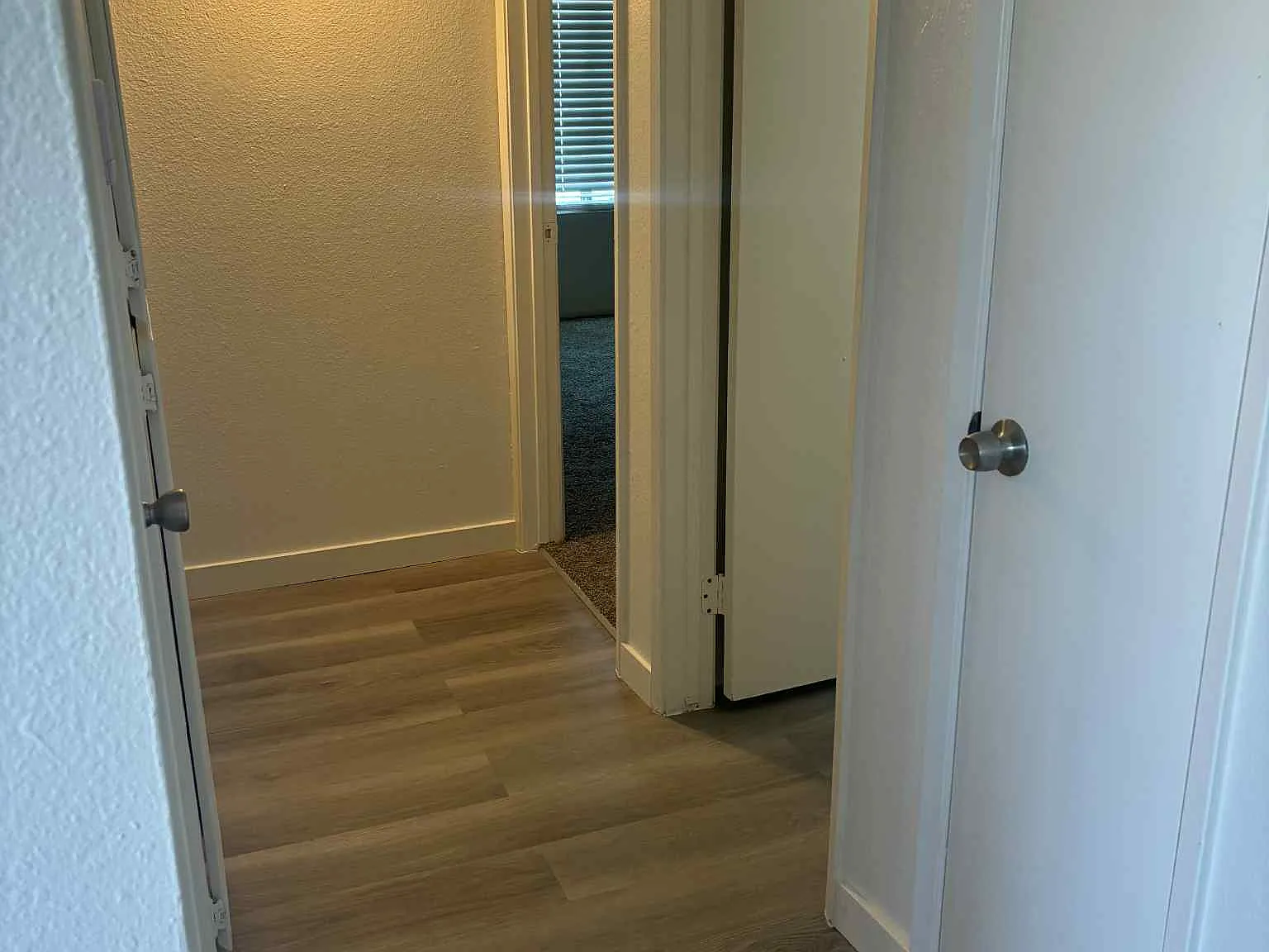 Palm Drive — Photo 2