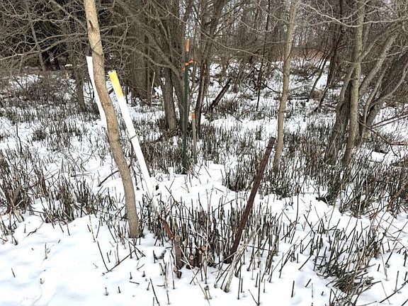 5th image of 2424 N Lakeshore Rd #A