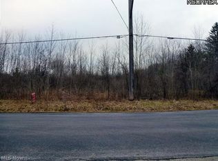 Snyder Rd, Chagrin Falls, OH 44023