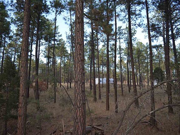 4th image of 161 Dixwood Dr