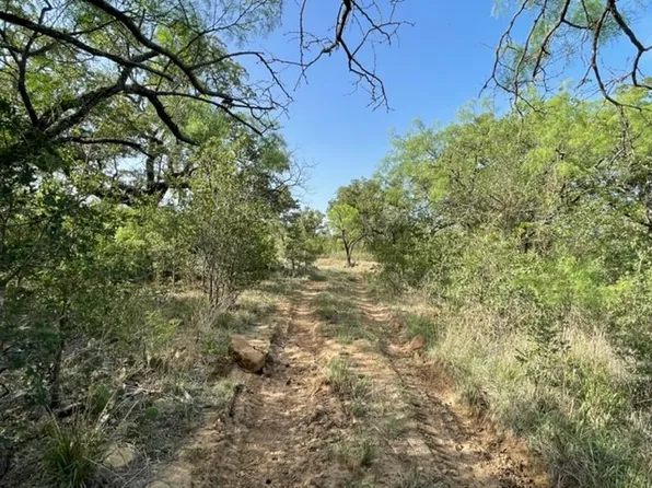 27 Ac Cres #398, Carbon, TX 76435