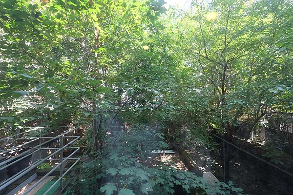 Rented by Keller Williams NYC | media 12