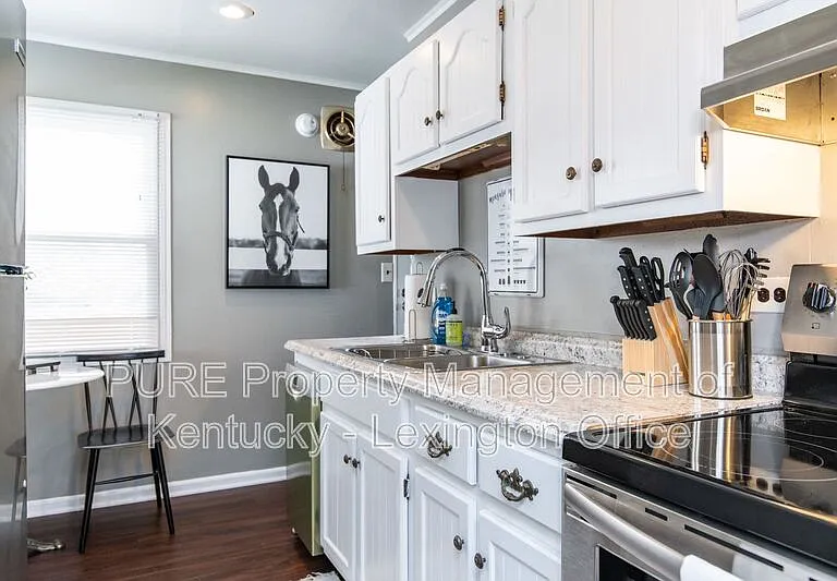 317 Mockingbird Ln — Photo 9