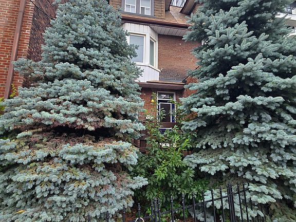 3rd image of 348 Dupont St