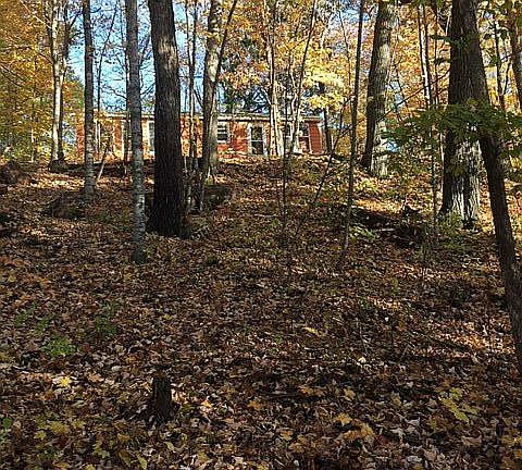 View from Bottom of Hill