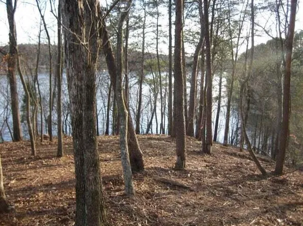 Taylors Fry, Parrish, AL 35580