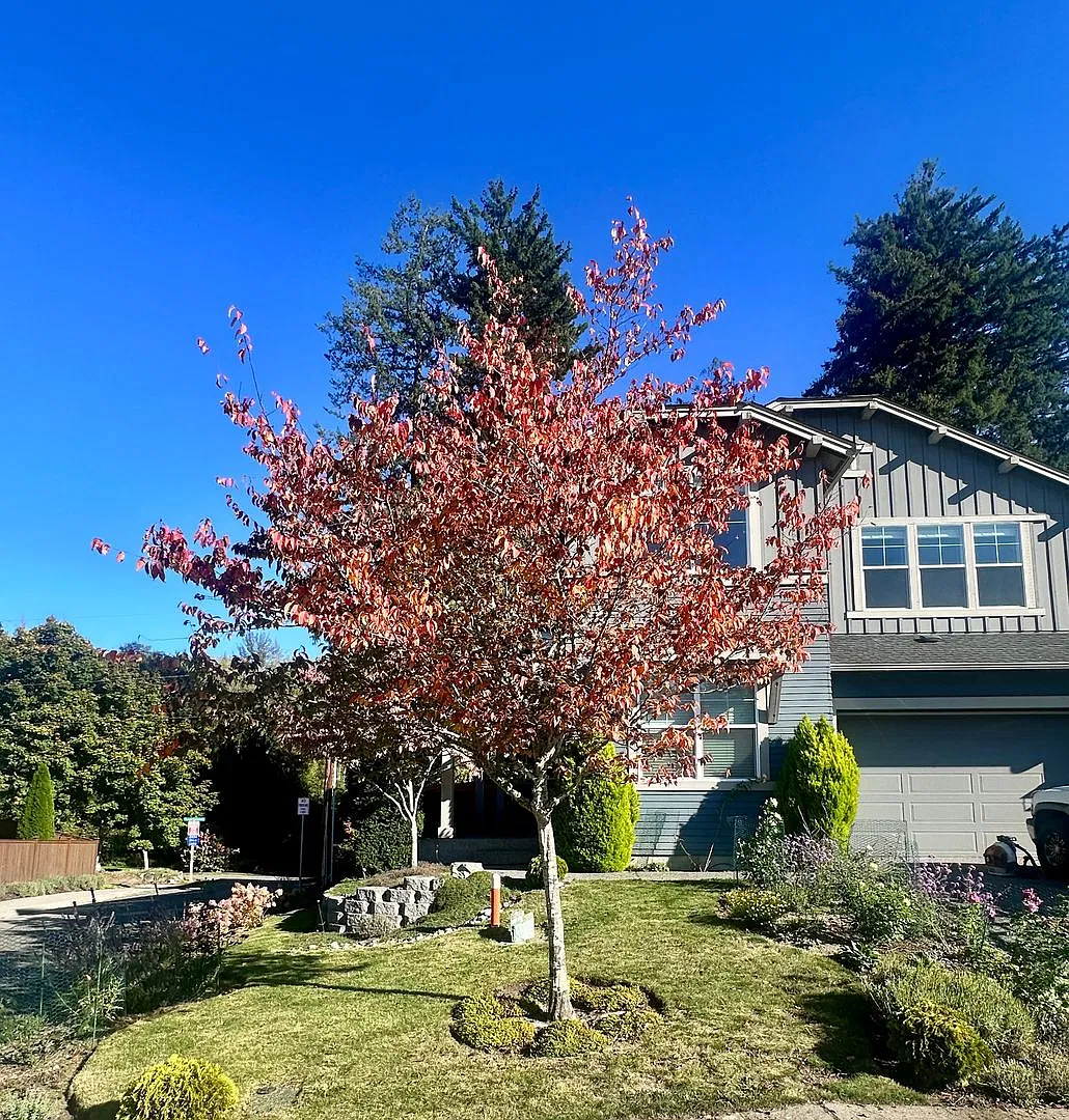 Light & Bright 4-Bedroom Home in Poulsbo's Mountain Aire Neighborhood — Photo 3