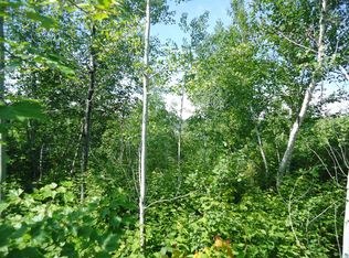 Tbd Canadian Border Rd, Ely, MN 55731