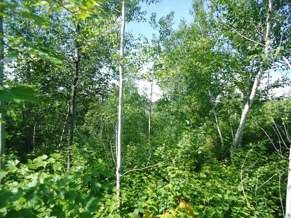 TBD Canadian Border Rd, Ely, MN 55731