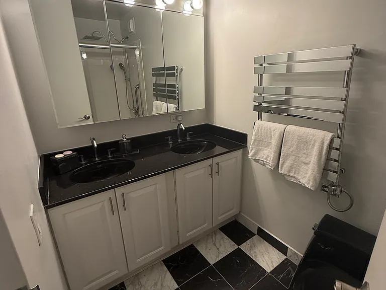 405 N Wabash Ave #4704 — Photo 61