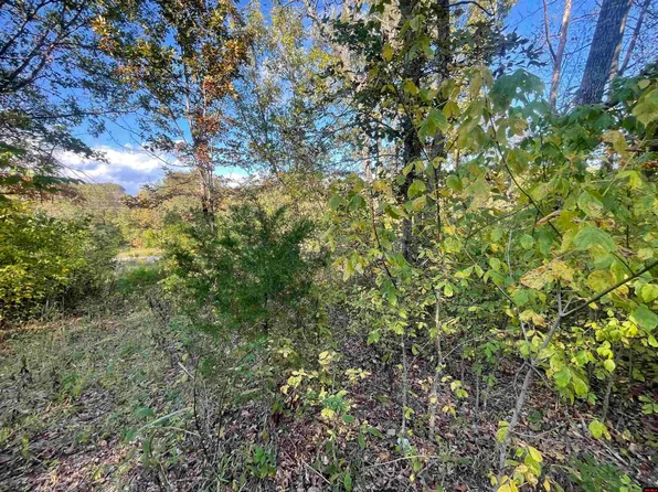 87 N Brook Pl, Gamaliel, AR 72537