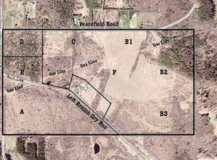 Laurel Run Peacefield Rd, Pine City, NY 14871