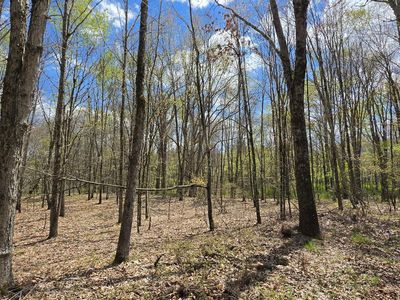 17.14 Skipperene Rd, Cochecton, NY, 12726