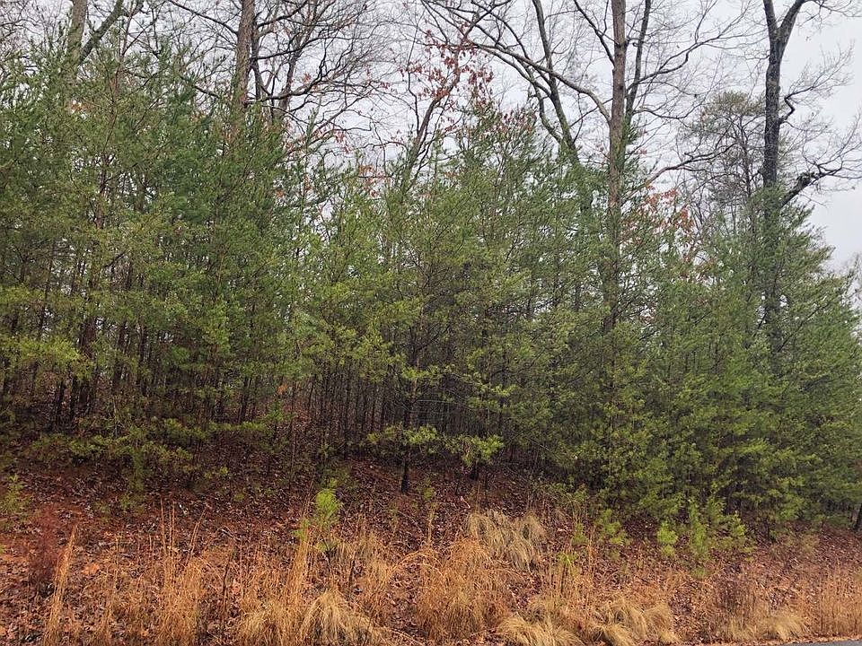2nd image of LT 50 Ivy Ridge Ests