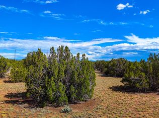 8774 Coronado Dr, Show Low, AZ 85901