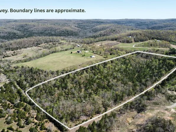 001-08289-005 Deer Meadows Ln, Yellville, AR 72687