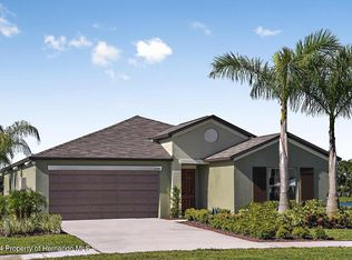 203 Rain Lily Ave, Spring Hill, FL 34609