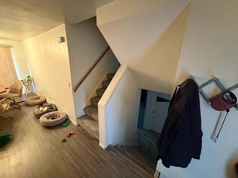 11 Timothy Ct — Photo 7