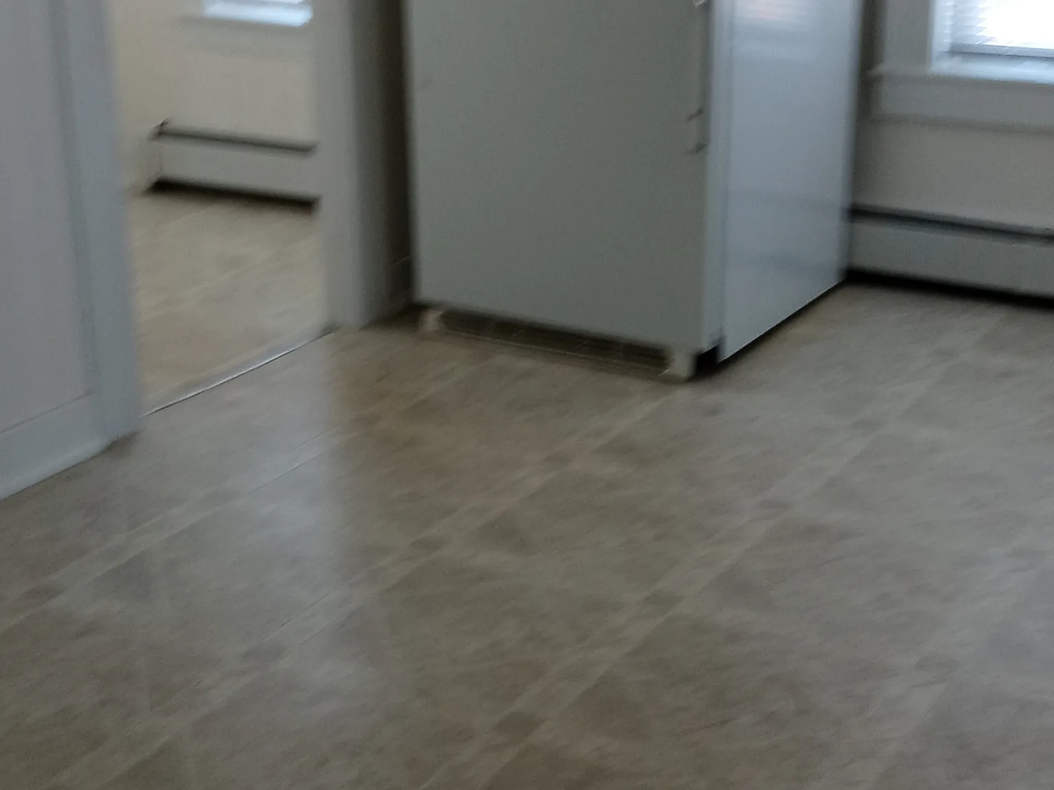 2 bed, 1000 sqft, $1,750 — Photo 4