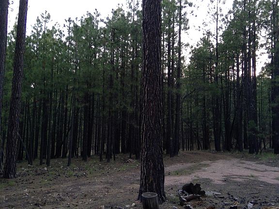 5th image of 490 Tranquility Trl Lot 82