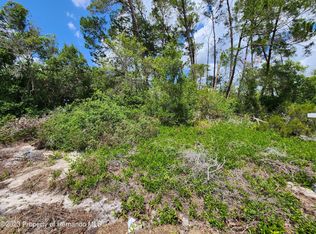0 Kirkwood Ave LOT 21, Spring Hill, FL 34608