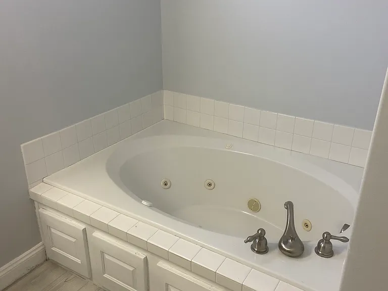 Master bathroom tub