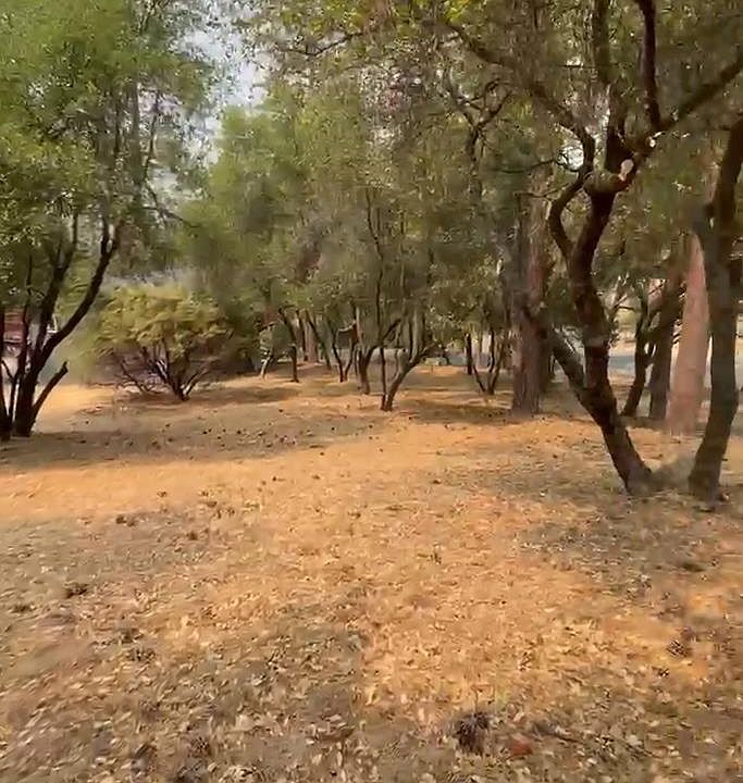 1st image of 12888 Mueller Dr